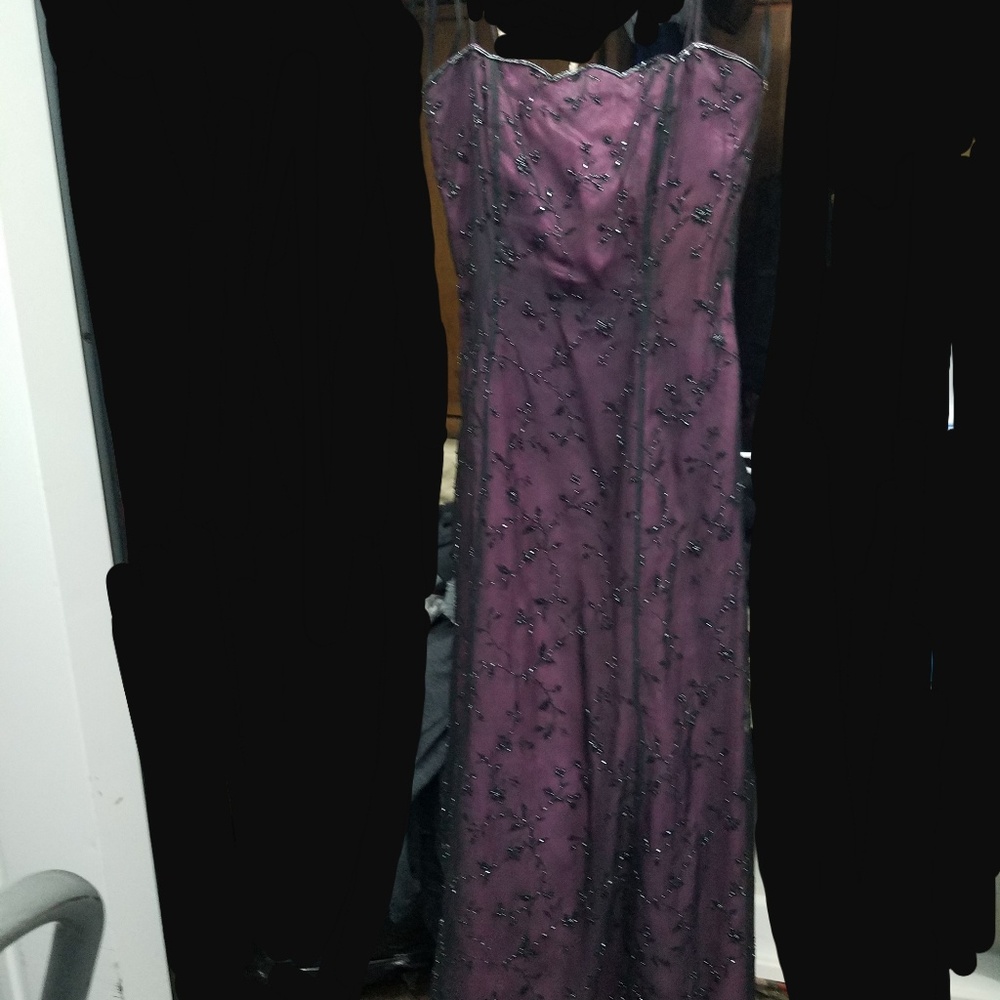 Cache Evening Gown